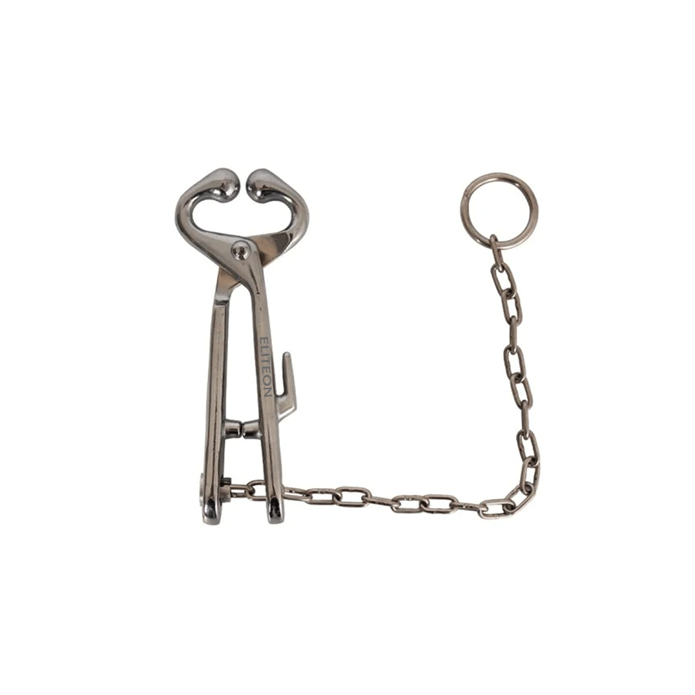 Bull Holder With Chain